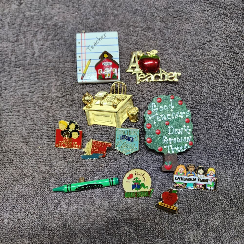 Lot of teacher inspired pins brooches b34